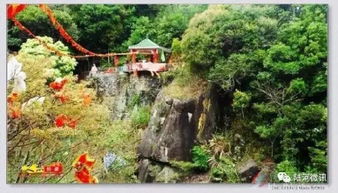 4. 景点游玩：排队排到怀疑人生