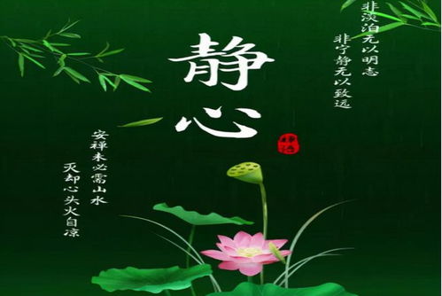 平和之心之功用：自我疗愈与人际关系的和谐