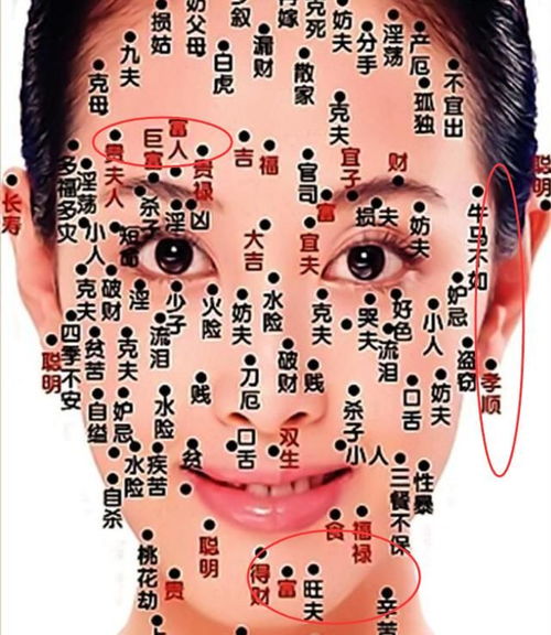 一、 面相学概述及研究方法论