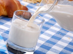 奶酪梦境大揭秘：是福还是祸？