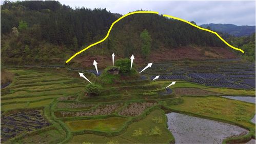 (2) 麦克斯韦式（文武双全）桂林阿才案例