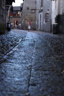 童年记忆：神秘传说中的种子