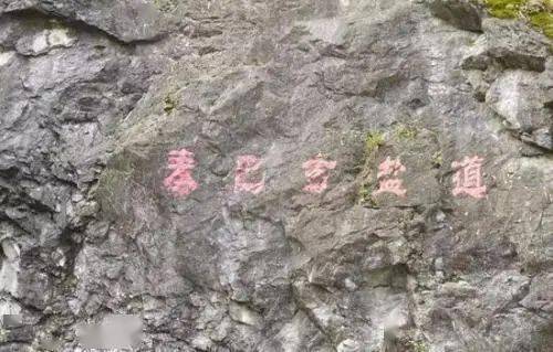 策略提议：怎样最较大化你的优惠实际价值