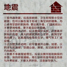 前言：梦中地震崩塌与全身麻软的综合阐释