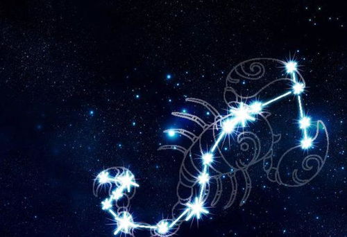 2026年属羊天蝎座农历九月运势和2025年运势分别是什么？