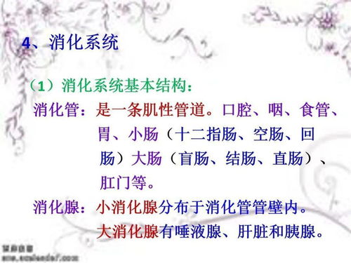 （五）八字准确性对仪式匹配度的重要性