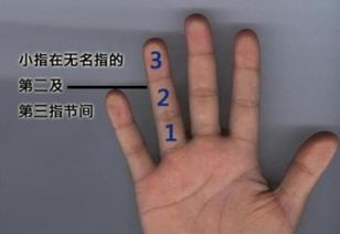 四、  中指：责任担当与决策机制的理性审视