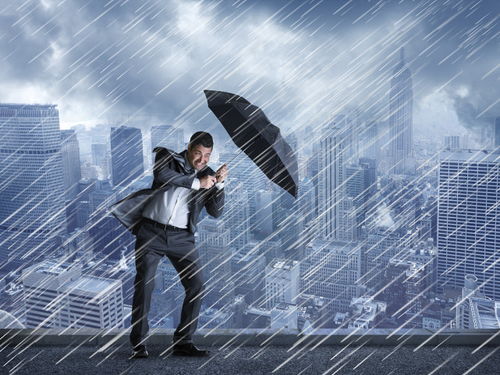 （一）龙族：领袖气质与挫折易感性并存