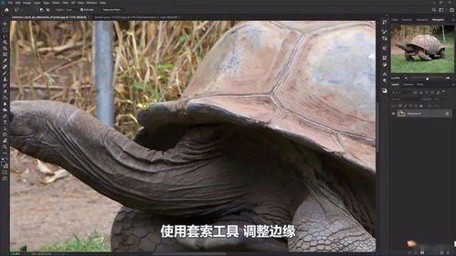 龟鳖农场那一些事儿——传统方式文化底蕴与现代化创意的