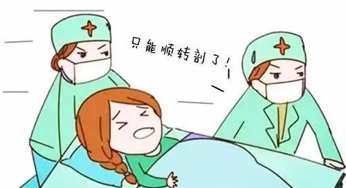 属猴者的剖腹产考量：天赋的继承与环境的营造