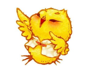 二、 财运趋势及其潜在风险因素