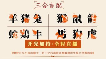 算命大师说三合贵人马的最佳三合贵人是谁？