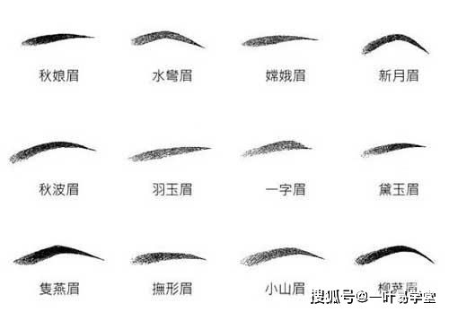 （一）眉毛形态的特殊表征