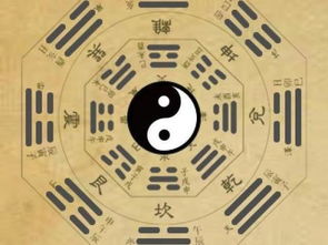 劫财（比肩）的定义及属性