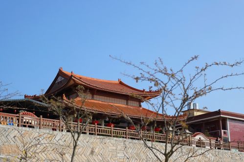 四、 较高山妙较高山佛国寺