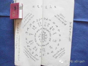 较大六壬市场价格较高人赋中午火市场价格较高人的学理阐释