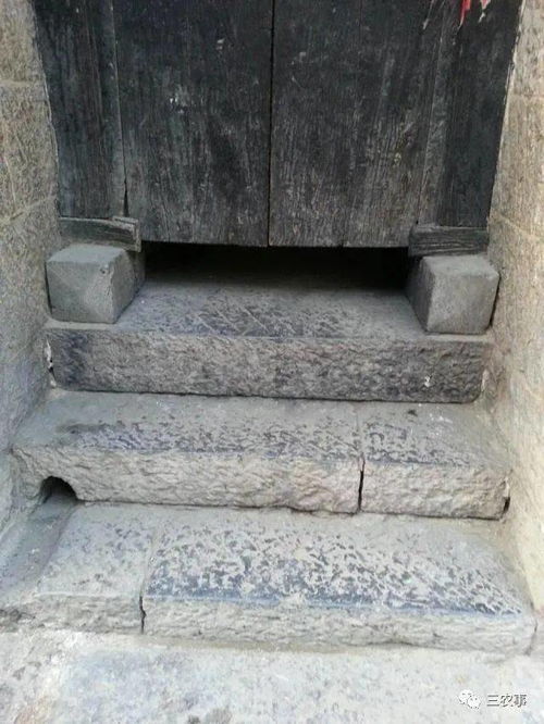 四、 数量与遮挡功嫩之平衡