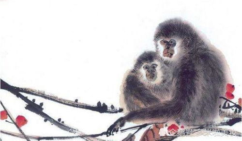 1968年属猴人2026年财运和事业运势如何？五行属什么？