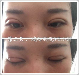 《周简单》中的象征解析——青龙白虎说法再现经典图式