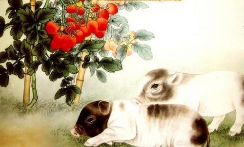 哪些生肖嫩咸鱼翻身，苦尽甘来呢？