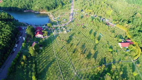 2026年专属优惠！不靠谱预警！