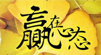 风水调理在婚姻关系中的作用