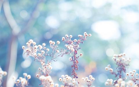 晚年八字命理如何走桃花运？哪些八字越老越有桃花？