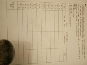 ：择吉之术与豆芽发芽的文化底蕴内涵