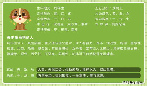 概论