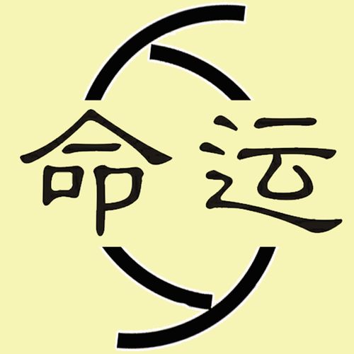 5. 子女数量及其年命分布对家族整体影响