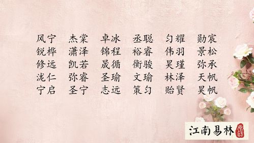 1. “皙媛”名称的专属寓意