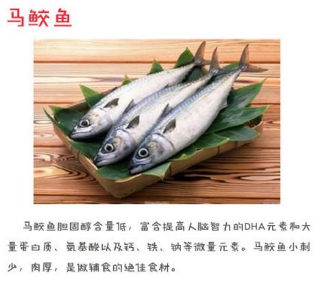 适合孩子的几种鱼