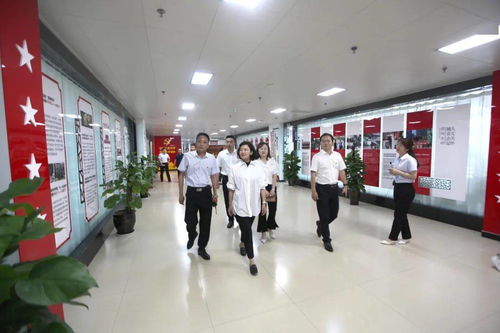 泰山旅游集团在党建创新方面有哪些成功案例可以分享？