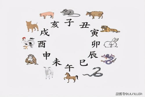 妈祖属什么生肖最准确的年份是哪一年？