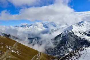 游客的真实反应：除了吃就是睡谁管高度