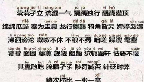 十三、一下(凑字数专用)