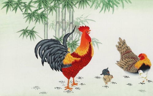 1981年属鸡的人与哪些属相财运相合？