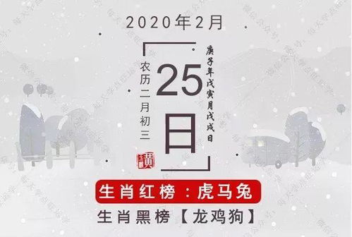 2026年2月属兔的黄道吉日都有哪些？
