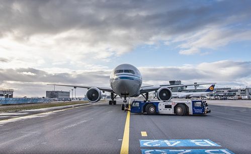 半途中的意外邂逅与烤地瓜的诱惑