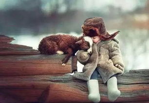 明星善举与公众冷漠的对比