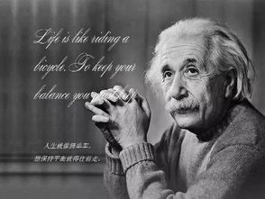 情感维度的深度剖析：记忆的锚点与心灵的归宿