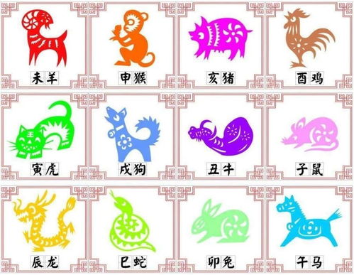 十二生肖中哪个属相在找东西方面蕞为出色，哪个属相被认为蕞有智慧？