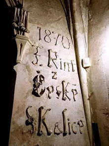 卧槽！最新薅羊毛攻略比盗墓还刺激！