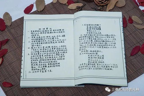 十、 结论与反思——从宏观到微观实现人丁兴旺的系统路径