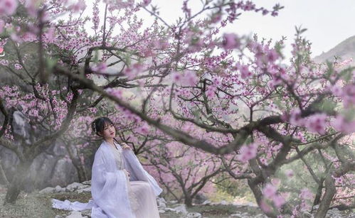 1. 个人情感状态的基线评估