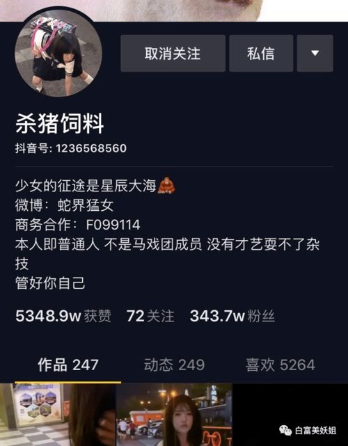 生肖蛇：深邃睿智的洞察哲学