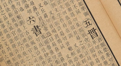 那些被遗忘的鬼画符，居然成了今天的汉字！