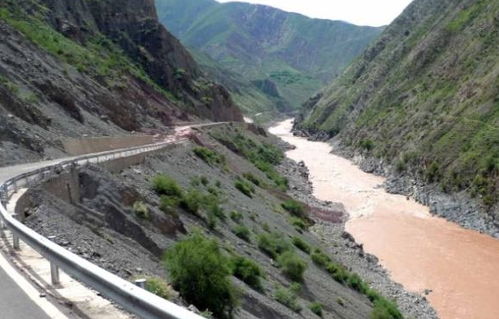 美食推荐：难以下咽+ 随机配料大放送