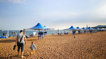 震惊！美团小哥透露的内部购票潜规则