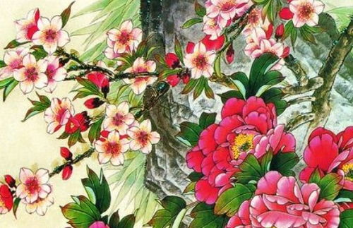 属猴的人在不同年份的犯太岁情况